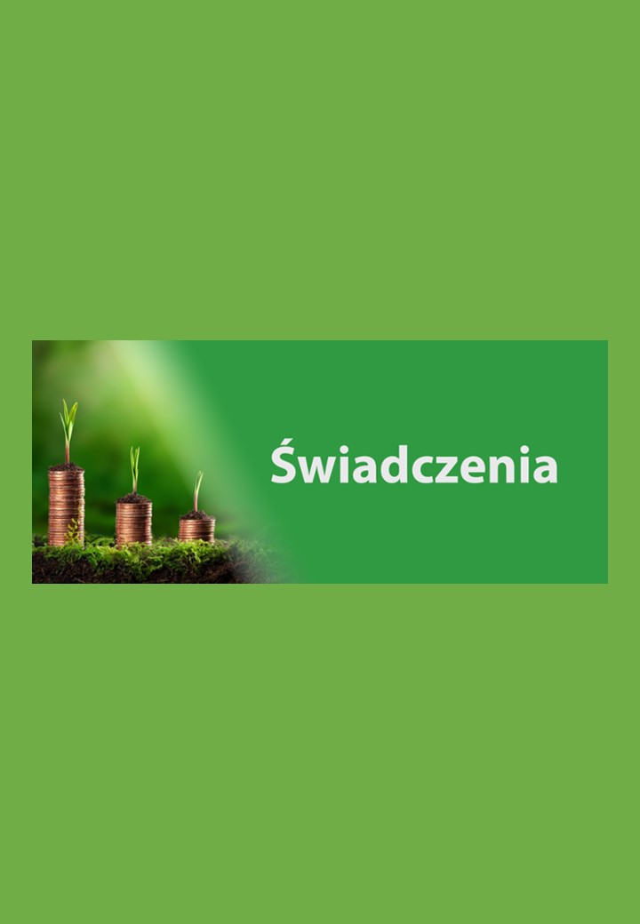 Od 1 grudnia 2024 r. nowe kwoty przychodu decydujące o zmniejszaniu lub zawieszaniu świadczeń emerytalno-rentowych